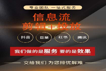 汽车行业SEM服务营销策略及效果展示